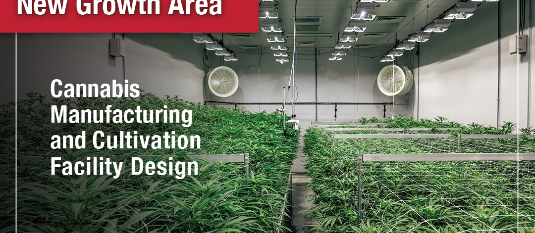 DIGroup Meets Need for Cannabis and New Agriculture Design Image